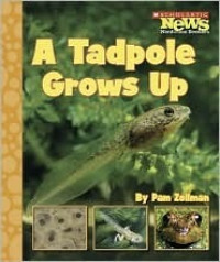 Image of A tadpole grows up