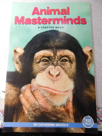 Image of Animal masterminds: a chapter book
