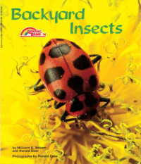 Image of Backyard Insects