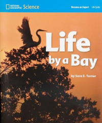 Image of Become an Expert: Life by a Bay