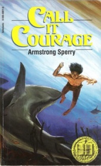 Image of Call it courage