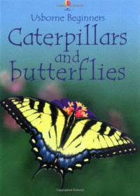 Image of Caterpillars and Butterflies
