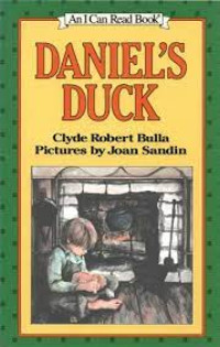 Image of Daniel's duck
