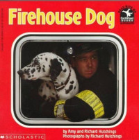 Image of Firehouse Dog