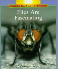 Image of Flies are Fascinating