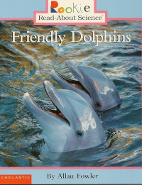 Image of Friendly dolphins