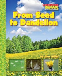 Image of From seed to dandelion