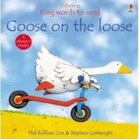 Image of Goose on the Loose