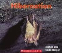 Image of Hibernation