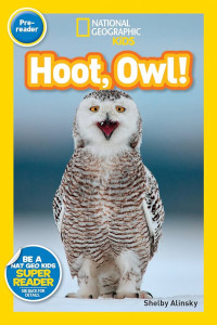 Image of Hoot, owl!