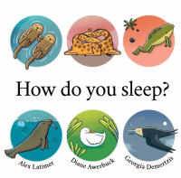 Image of How Do You Sleep?