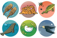 Image of How Do You Sleep?