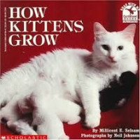 Image of How Kittens Grow