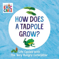 Image of How does a tadpole grow?