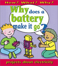 Image of How? What? Why: Why does a Battery make it go? Projects about Electricity