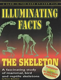 Image of Illuminating facts: The Skeleton