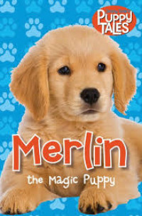 Image of Merlin the magic puppy
