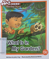 Image of My Pals are Here! Reading Stars (13c): What is in my garden?