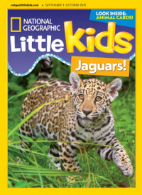Image of National Geographic Little Kids Jaguar!