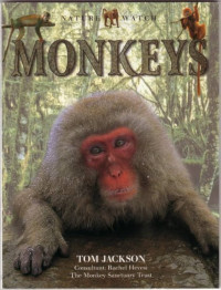 Image of Nature Watch: Monkeys
