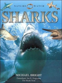 Image of Nature Watch: Sharks