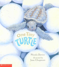 Image of One Tiny Turtle