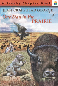 Image of One Day in the prairie
