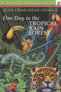 Image of One Day in the tropical rain forest