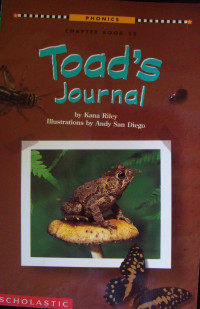 Image of Phonics chapter book 15: Toad's journal
