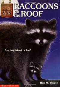 Image of Raccoons on the roof