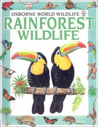 Image of Rainforest Wildlife