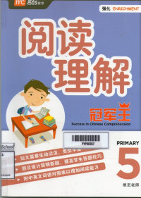 Image of Success in Chinese Comprehension Primary 5