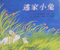 Image of The Rabbit Leaves Home