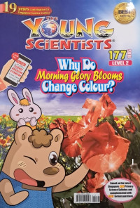 Image of The young scientis: Why do morning glory blooms change colour?