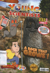 Image of The Young Scientists Level 2 2024 A rock that 