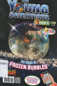 Image of The Young Scientists Level 4 2024 The magic of frozen bubbles