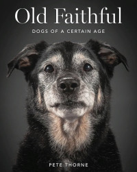 Image of The Faithful Old Dog