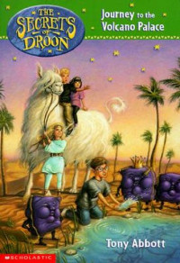Image of The Secret of Droon: Journey to the volcano palace