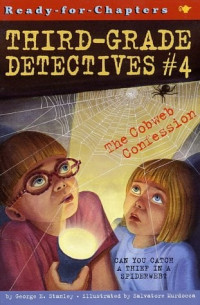 Image of Third-Grade Detectives 4: The cobweb confession