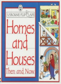 Image of Usborne Flip and Flaps: Homes and House Then and Now