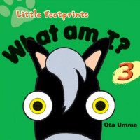 Image of What am I? 3