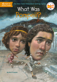 Image of What was Pompeii?