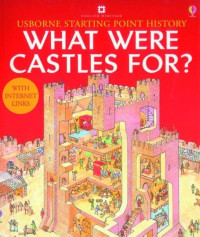Image of What Were Castles For?
